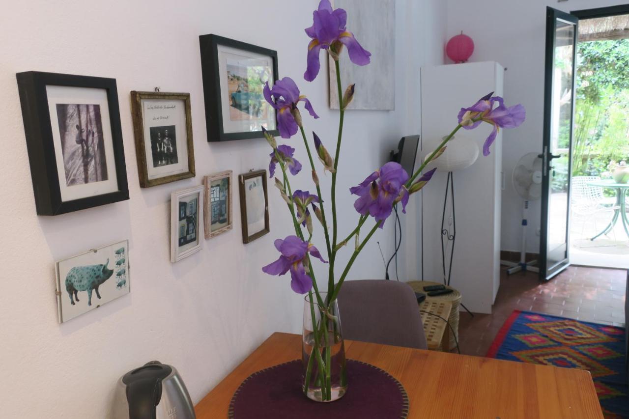 Miomir Appartement Dubrovnik