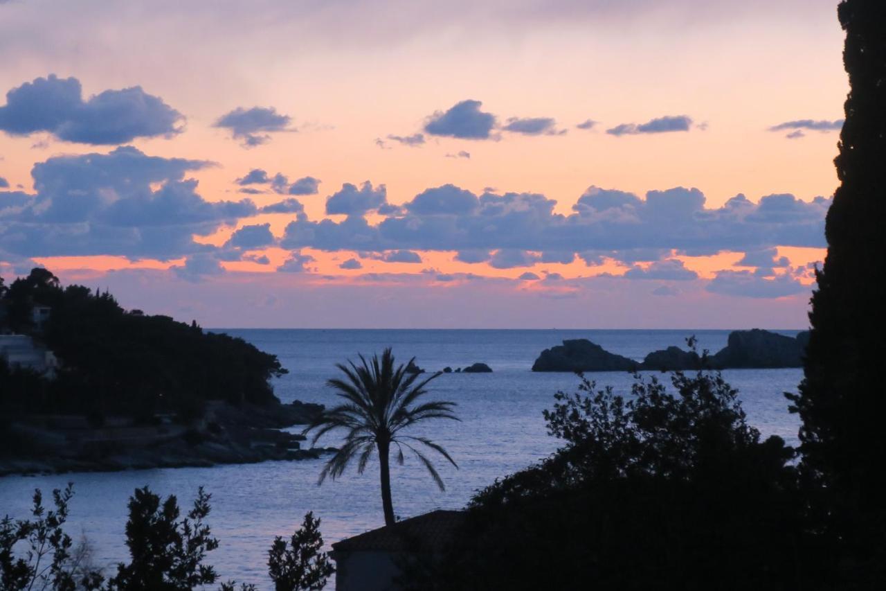 Miomir Dubrovnik