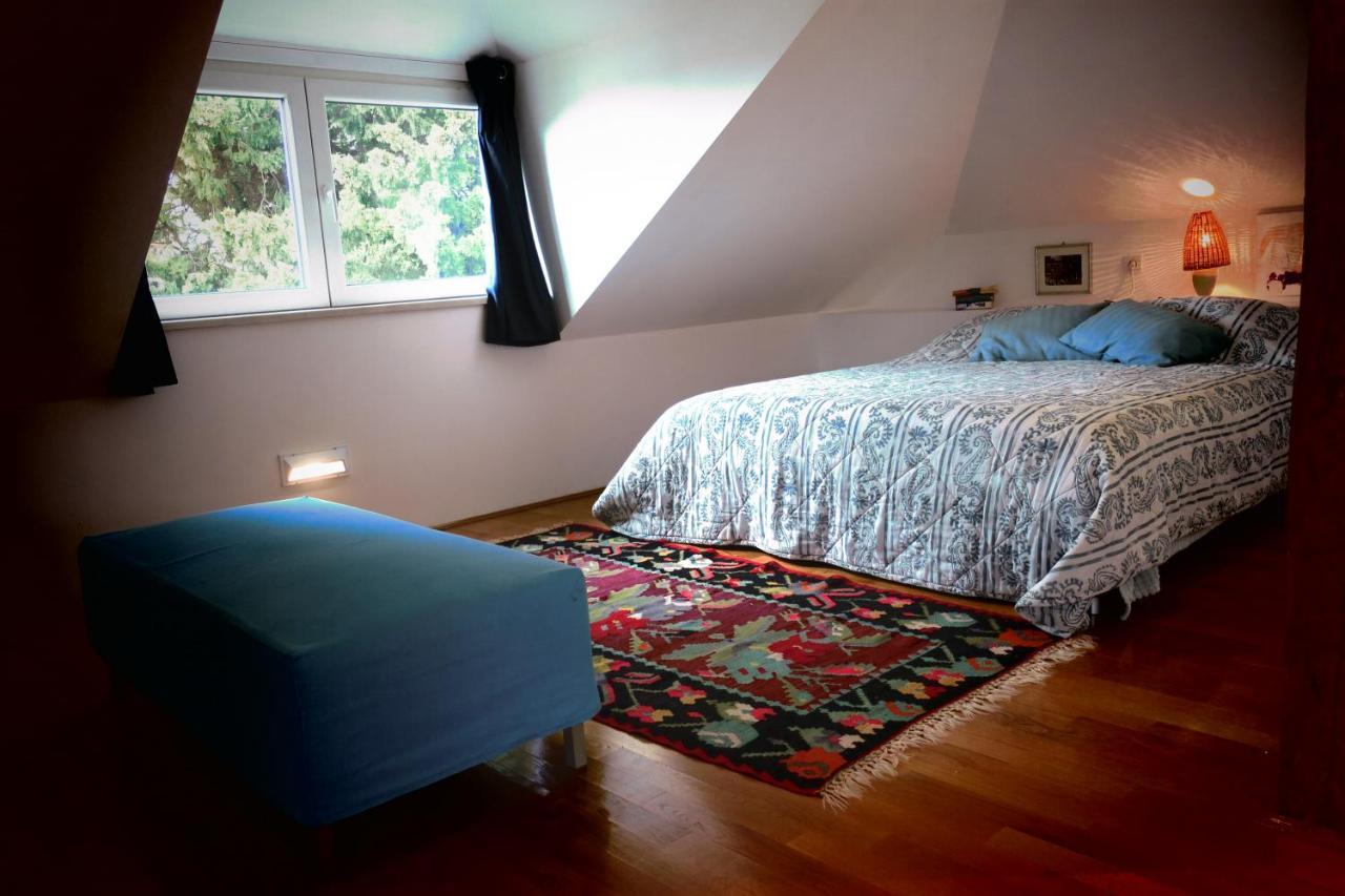 Apartment Miomir *