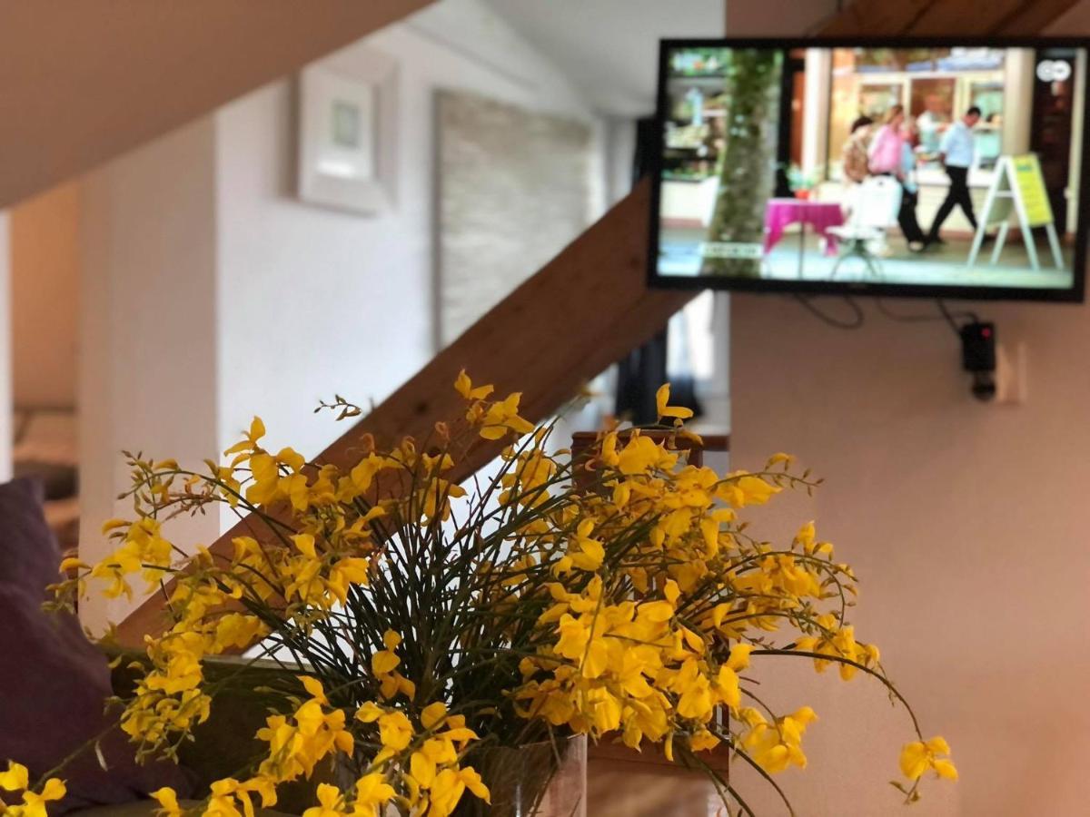 Appartement Miomir