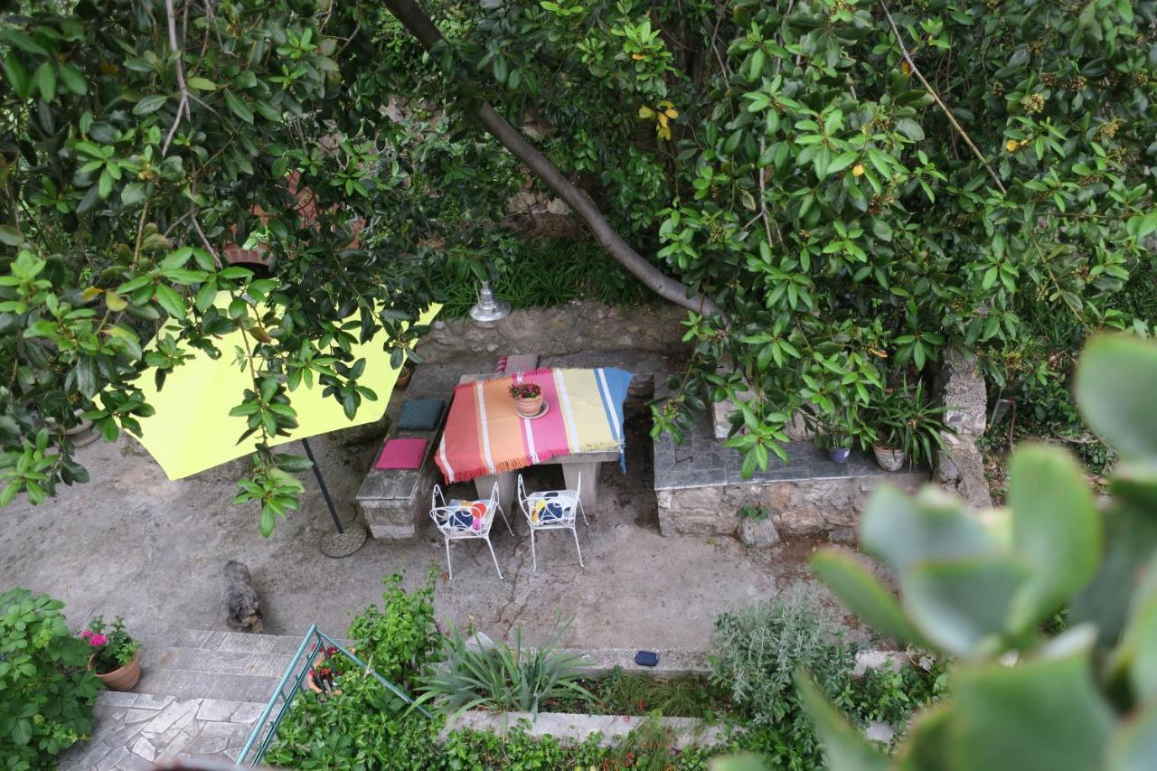 Appartement Miomir