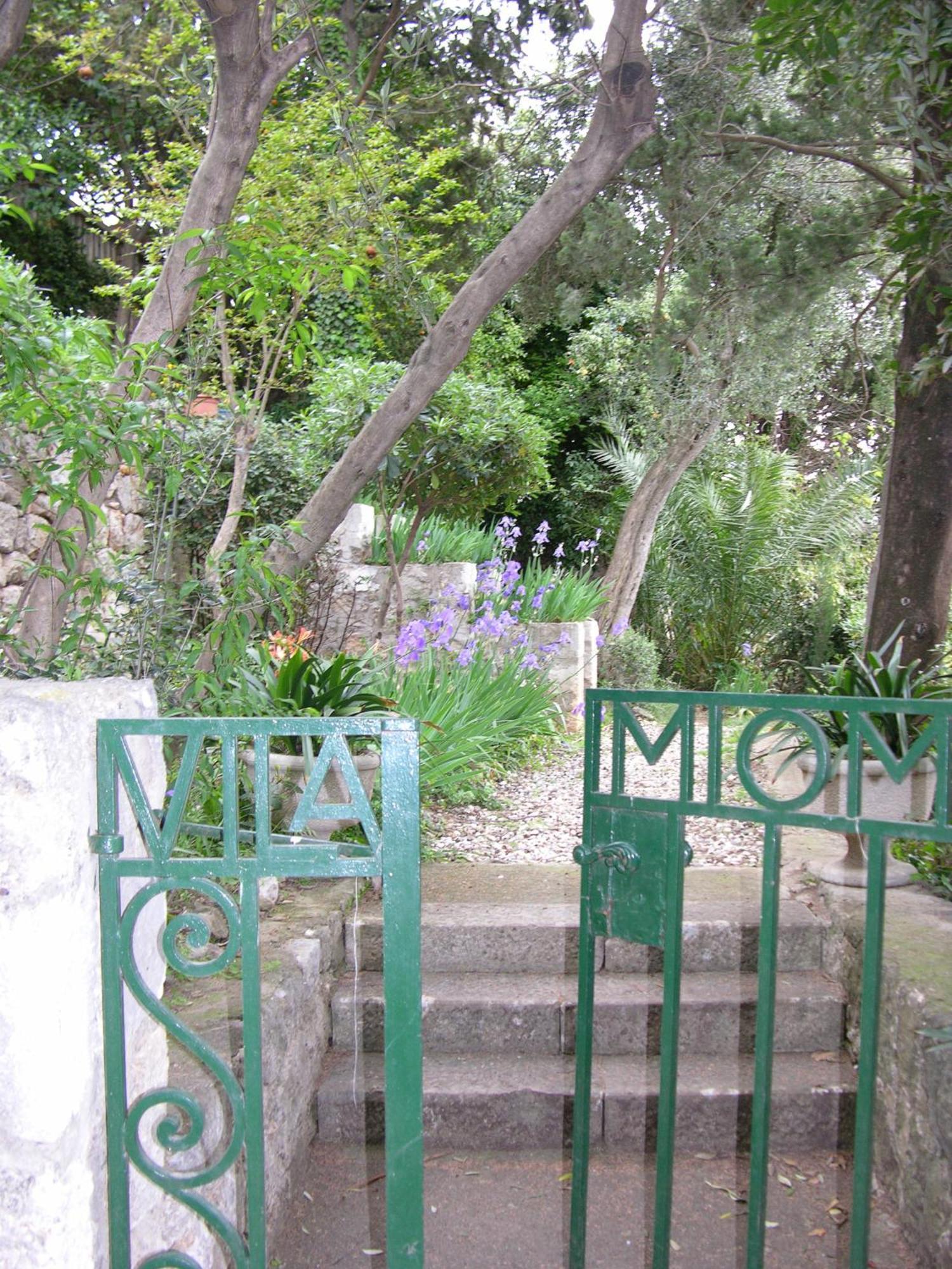 Apartment Miomir *