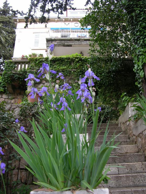 Miomir Appartement Dubrovnik