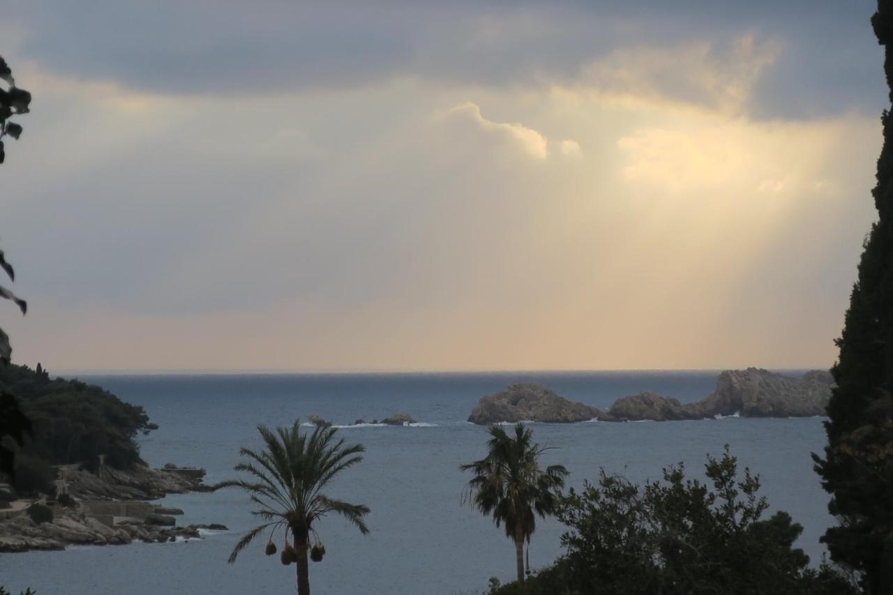 Miomir Dubrovnik